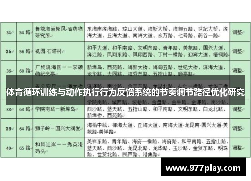体育循环训练与动作执行行为反馈系统的节奏调节路径优化研究